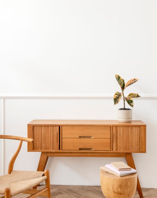 Rubber plant on a wooden sideboard table